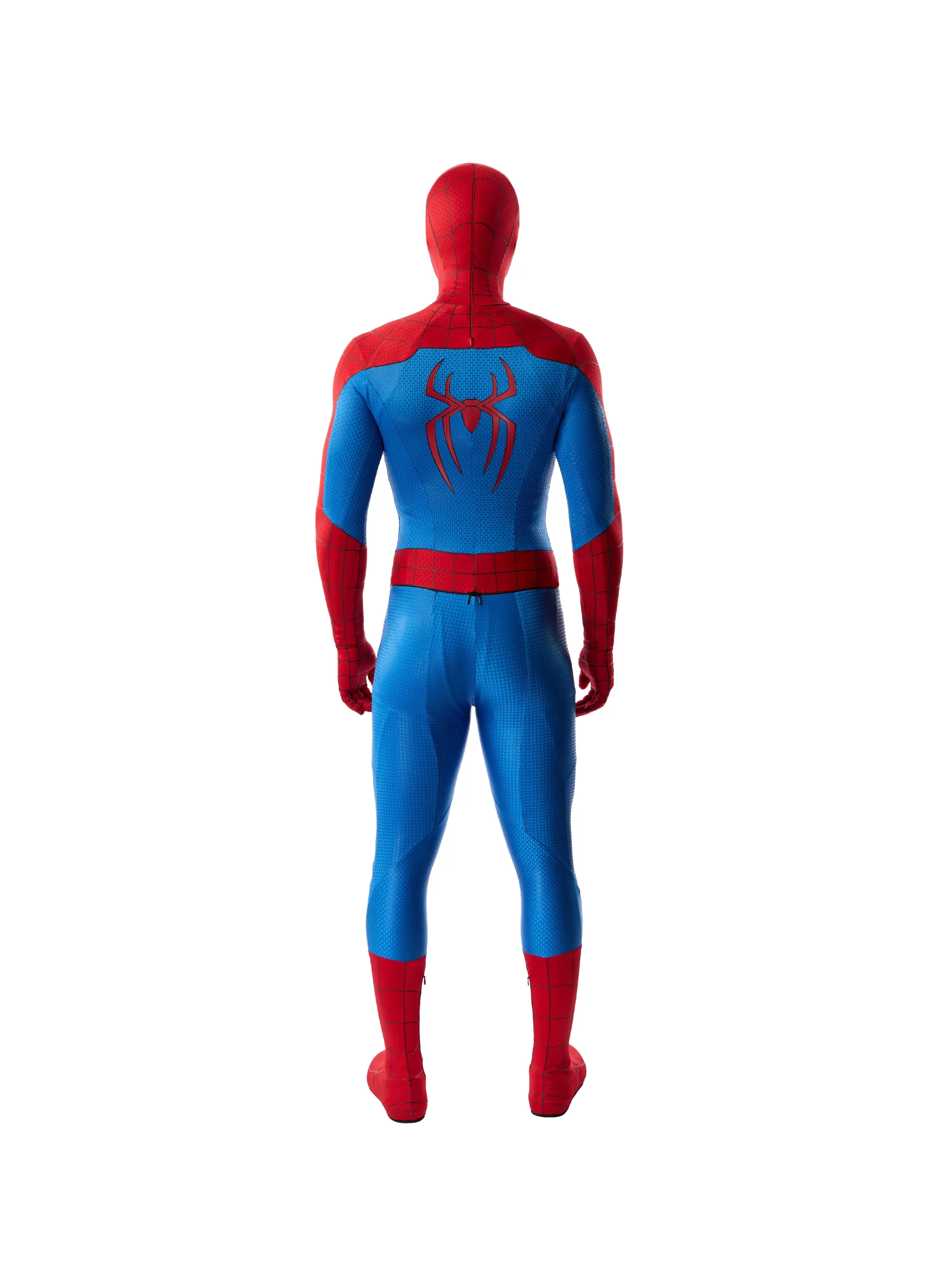 BND | Essentials Suit - Image 4